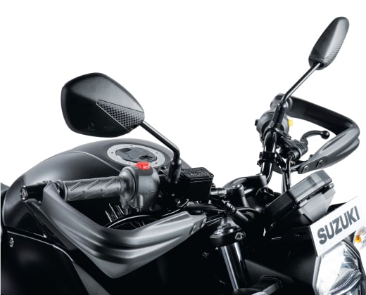 Sree Naga Sai Suzuki