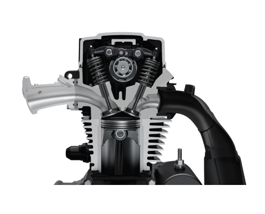 Sree Naga Sai Suzuki